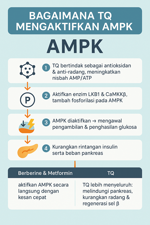 tq ampk small