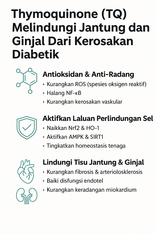 tq jantung small