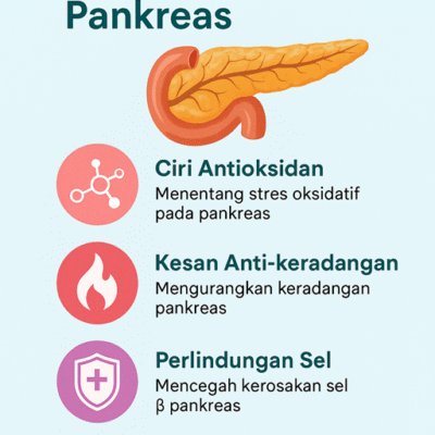 tq pakreas small